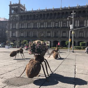 Arte urbano invade espacios públicos de la CDMX